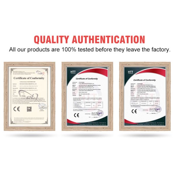 36v 10ah Electric City Bike Hub Motor Lithium Battery