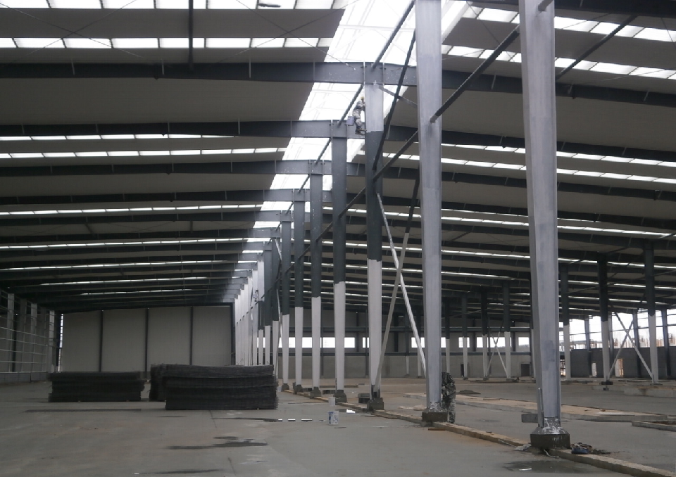 Food Workshop Q355B Steel Frame Building Construction Prefabricated Steel Packing Warehouse