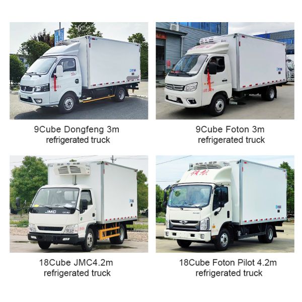 4x2 Refrigerated Cooling Refrigerator Van with Maximum Torque Nm 500-1000Nm and Dimensions L x W x H mm 5995*2450*23265