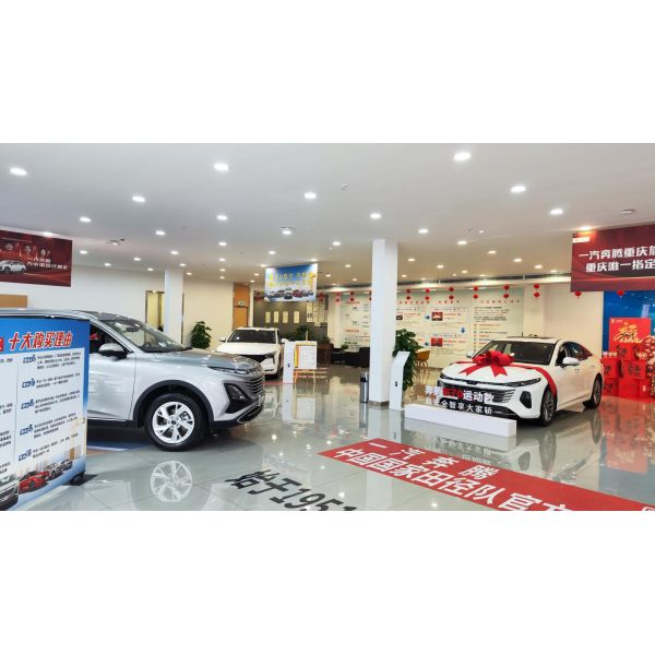 BYD Seagull 2023 405KM Long Range Energy Car EV 4-wheel Electric Car for Benefit