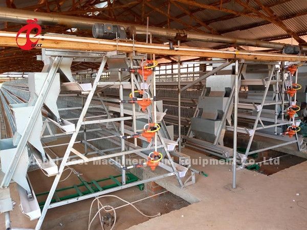 Automatic Poultry Battery Cage System Coated Wire With Long Lifespan Nigeria Sandy