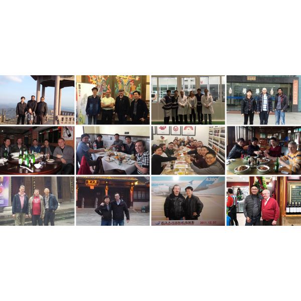 EC290 D7E BOSCH Diesel Fuel Injection Pumps 0414693005 02113694