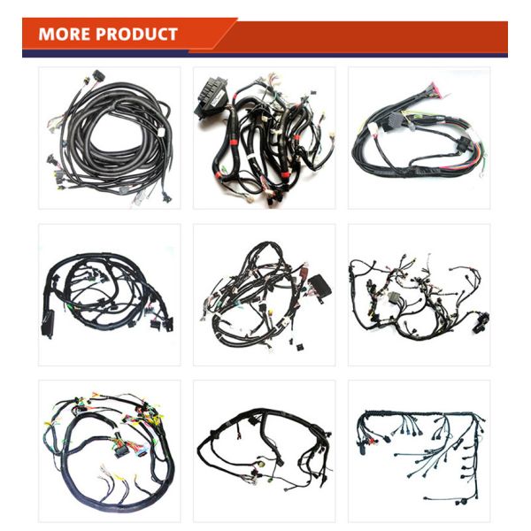Customize Electric Vehicle Cable Power Transmission Wiring Harness