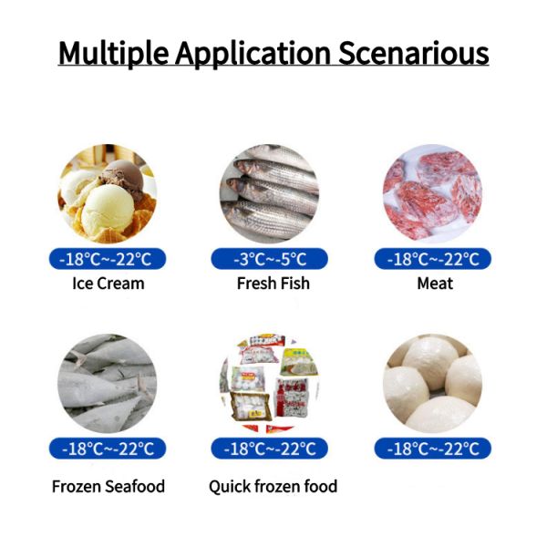 880W Removable Stainless Steel Upright Commercial Freezer Multiclimate