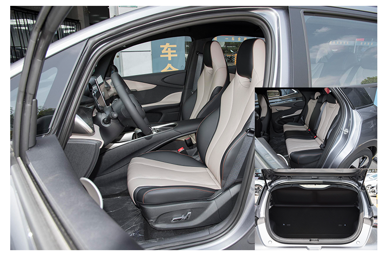 Pure Electric Car BYD Dolphin BYD Energy Car 5 Door 5 Seater Hatchback