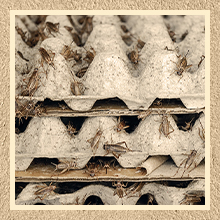 Pack Egg Cartons Crates Bulk 30 Cell Pulp Fiber Egg Flats Reusable Stackable Cardboard Tray For Home Storing Packing Roach Colony Soundproofing