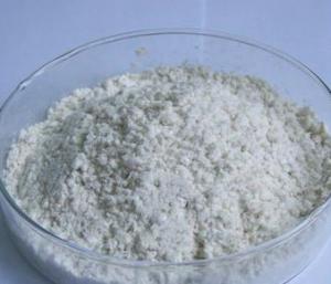 China 100% Natural Diosgenine Wild Yam Herb Extract  Diosgenine powder wholesale