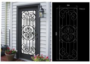 China Most Durable Agon Filled Wrought Iron Glass Doors 22*64 inch Size Shaped Crafted wholesale