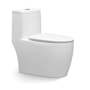 China Ceramic One Piece Dual Flush Toilet Top Flush S Trap Elongated Bowl For Hotels Bathrooms on sale
