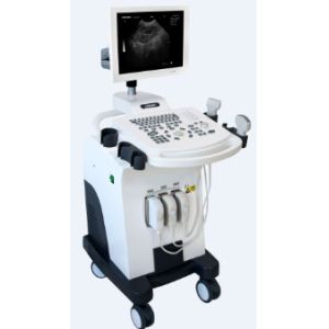 China Middle-end Trolley BW Veterinary Ultrasound Scanner on sale