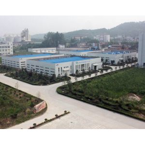 Godson Technology Co., Ltd