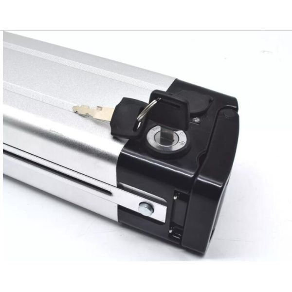 Silver Fish E-Type E Bike Battery 1000W 24V 36V 48V 10ah 15ah 20ah E-Scooter Battery Bicycle Battery 18650 Cell Downtube Akku Vacuum Cleaner Battery Pack