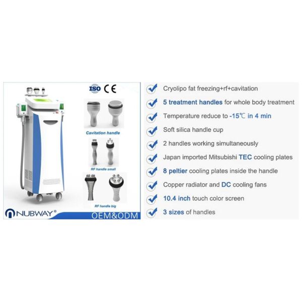 September Promotion Safe Cryolipolysis Slimming Machine 10.4 Inch For Fat Reduction