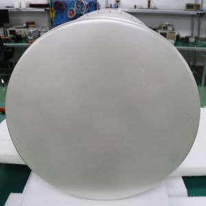 Long Range Drone Buster 10-1000W 2.4GHz/5.8GHz 500-5000m Distance Omni Antennas