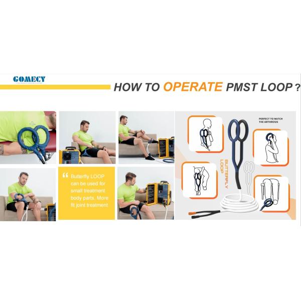 PMST Loop Pulsed Magnetic Therapy Machine With Butterfly Loop For Relieves Pain