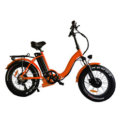 China Dolphin Shape 36v 10ah Electric Hybrid Bike Fast Charging wholesale