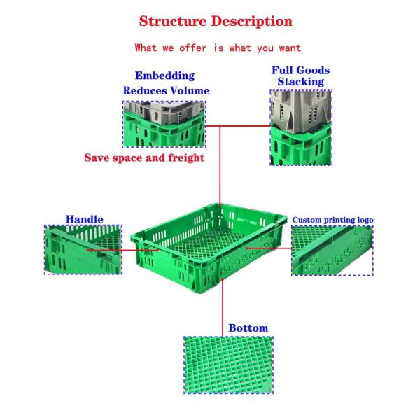 Vegetable PP Mesh Stackable Plastic Box for Logistics and Plastic Container Storage