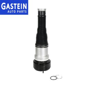 2213205513 Rear Strut Replacement For Mercedes Benz W221