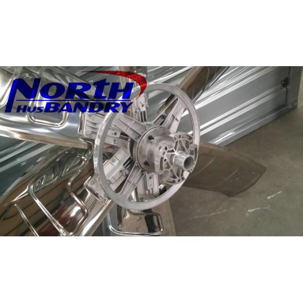 poultry meat trading companies