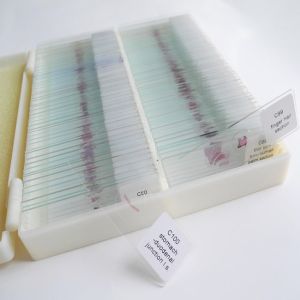 Students Education 100pcs Set Professional Prepared Microscope Slides In Plastic