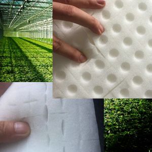 Seedling PU Hydroponic Polyurethane Foam Sheets