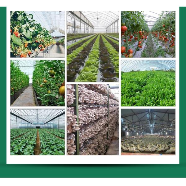 95% Transmittance Agricultural Plastic Film Greenhouse With Film Cover Material