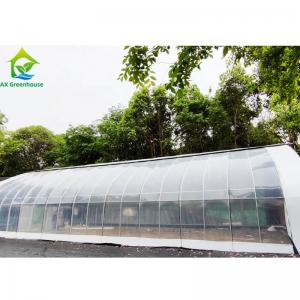 China Auto Blackout Light Dep Greenhouse With Electric Film Rolling Tunnel Greenhouse on sale