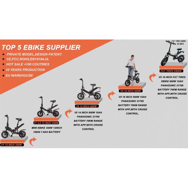 Directly 48V 500W Brushless Electric Motor For Mountain Bikes With Front Fork Suspension