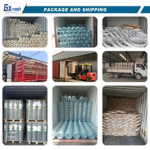 Manufacture 4mm Galvanized Welded Wire Mesh Panel for Anti-Climb Fence