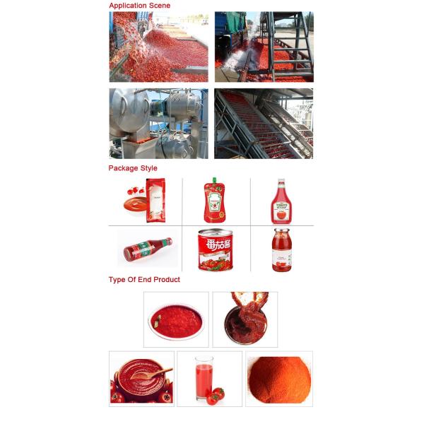 SS304 Tomato Processing Line 20T/H Ketchup Processing Line High Performance