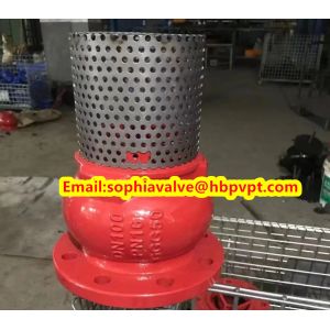 DN80 GGG50 PN16 cast iron flanged foot valve