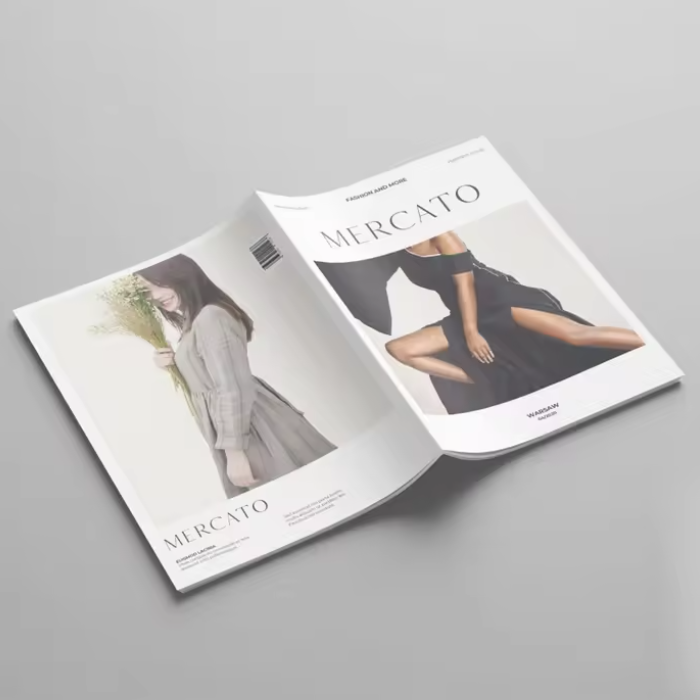 Customized Paper & Paperboard Printing Services for Brochures Booklets Leaflets Instructions Books Magazines Publicity Materials