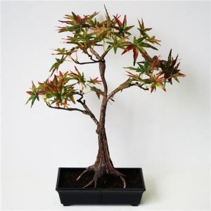 China Potted Artificial Maple Bonsai , Imitation Bonsai Trees Rejuvenating Customized wholesale