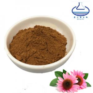 China Herbal Angustifolia Echinacea Purpurea Root Powder 90028-20-9 on sale