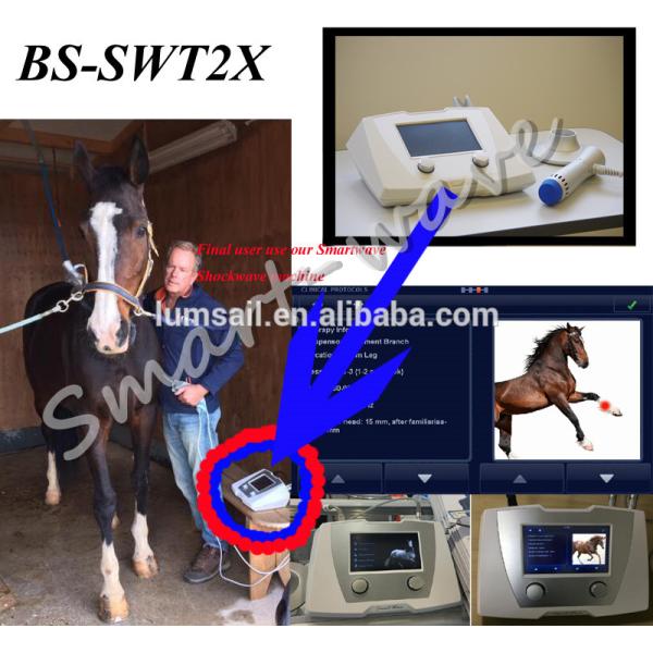 ESWT shockwave vet treatment veterinary shock wave therapy horse racing for animal