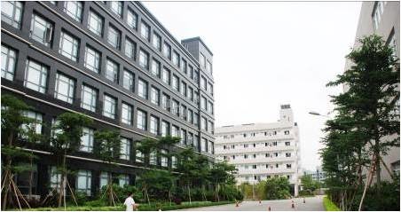 LiFePO4 Telecom Battery Long Life Deep Cycle 48V 40Ah Capacity 3U Rack With RS485