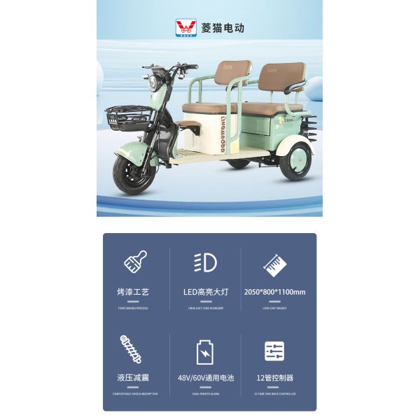 Dual Purpose Electric Leisure Tricycle For Passenger And Cargo Transport