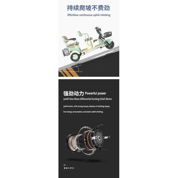 Dual Purpose Electric Leisure Tricycle For Passenger And Cargo Transport