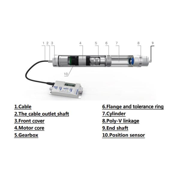 DC24V Brushless Motor Drive Roller High Torque Motor For Conveyor Systems