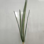 Clear Veins Green Artificial Ornamental Plant Dwarf Lilyturf Branches