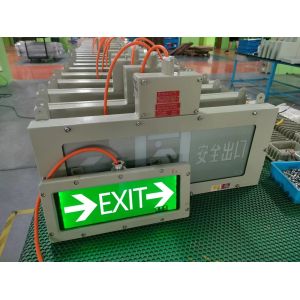 China 50000 Hour Aluminum Alloy Explosion Proof Emergency Lights wholesale