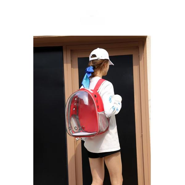 Explore the Great Outdoors with Your Furry Friend in Our Dual Strap Transparent Cat Backpack Comfortable and Portable