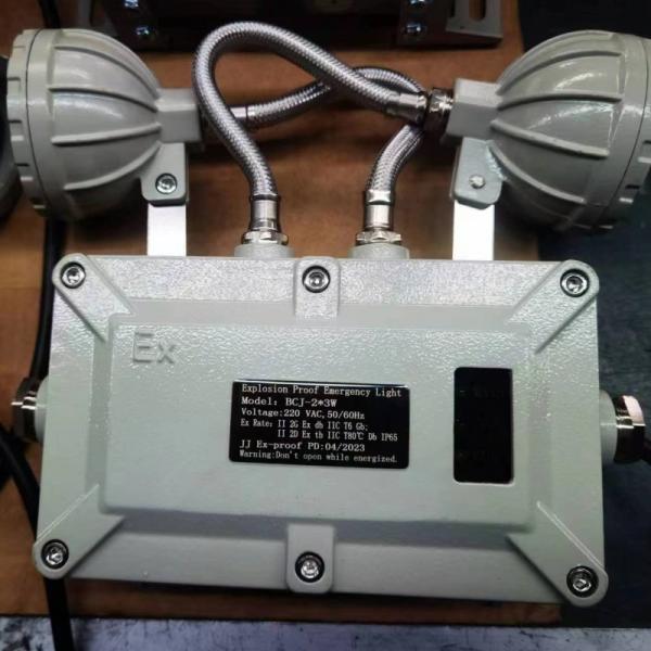 Hazardous Area Explosion Proof Exit Emergency Lights 2*3w Chargable Explosion Proof Sign