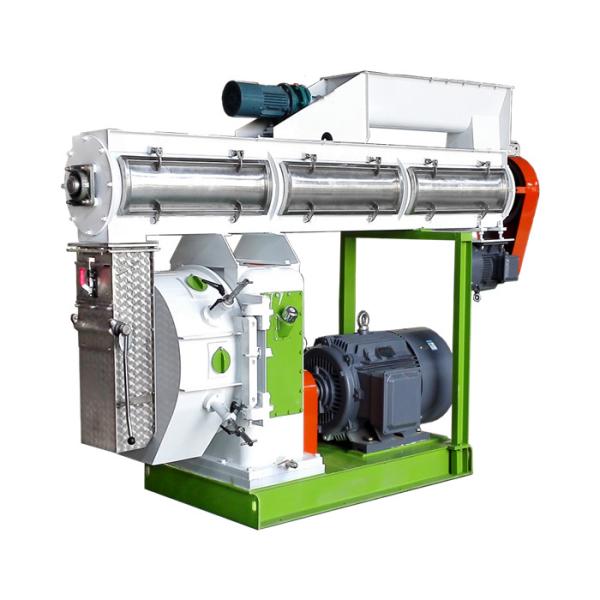 10T/H Automatic Feed Pellet Production Plant OEM ODM Animal Feed Pellet Mill