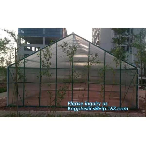 small garden green house,Multispan Tunnel Greenhouse for Tomato Agricultural Green houses,fabric steel wire agriculture