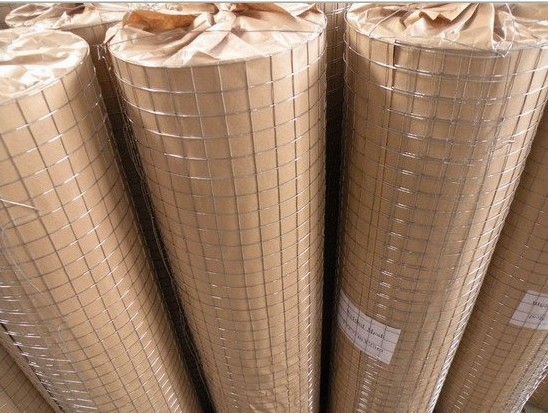 China hot dipped galvanized welded wire mesh wholesale