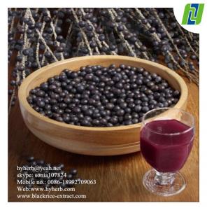 China antioxidant keepling slim Natural Acai Berry Extract wholesale