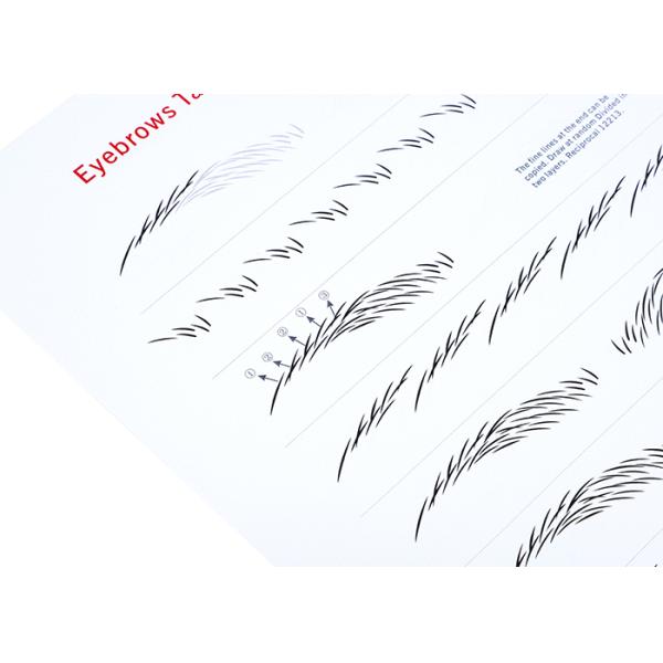 Eyebrow Tattoo Book Permanent Makeup English Practice Book for PMU Training