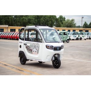800W Passenger Electric Tricycle Adults Passenger 3 Wheel Electric Tricycle