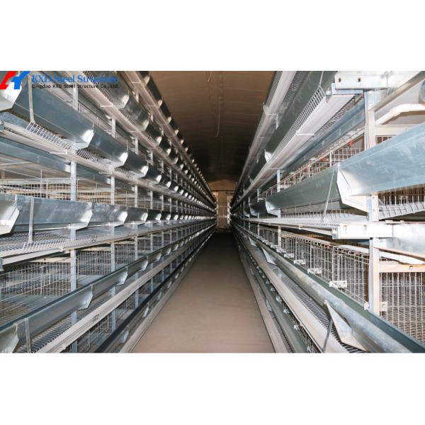 Automatic Battery Egg Layer Cages , Chicken Laying Hens Cage Poultry Farming Equipment